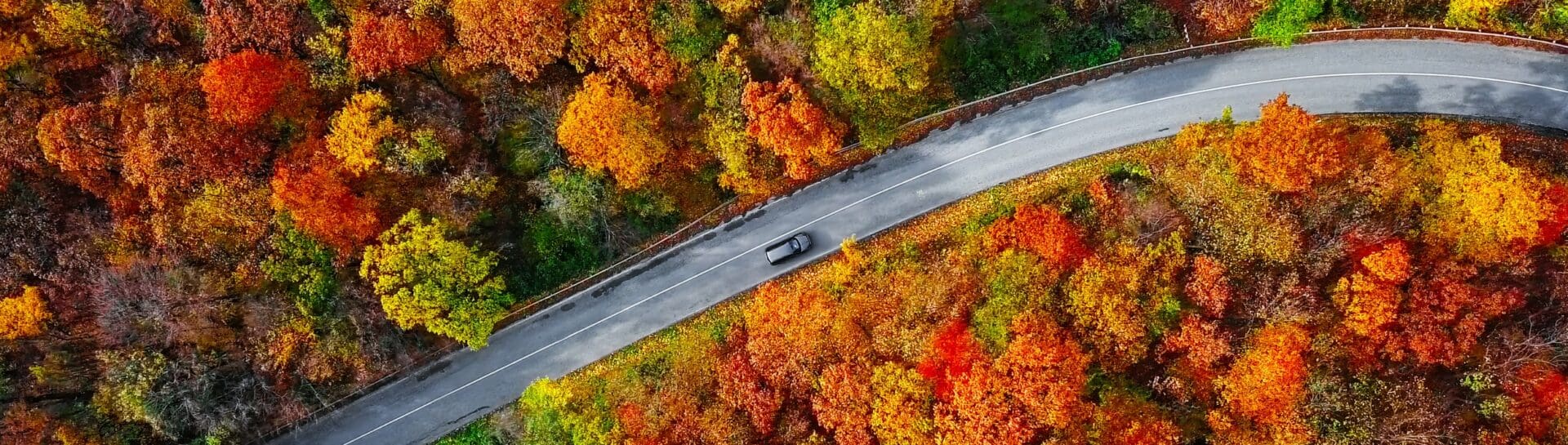 Falling in love with fall travel featured image